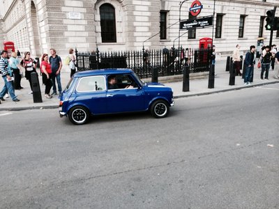 mini (2).jpg