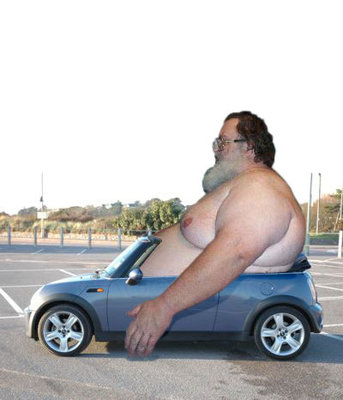 fat-guy-in-mini-cooper-tonyballoni-flickr.jpg