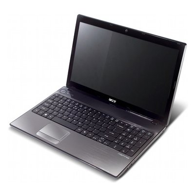 acer2.jpg