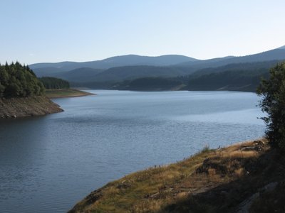 IMG_4187.jpg