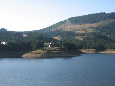 IMG_4199.jpg
