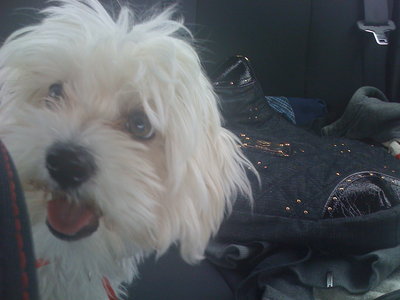alfy si rosky_08.06. 003.jpg