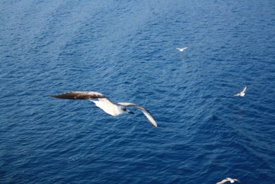 IMG_9314.jpg