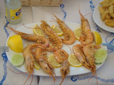 DSC03761.JPG