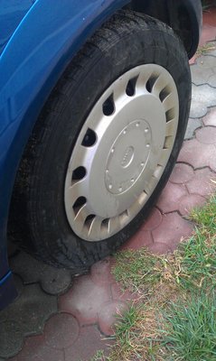 IMAG1423.jpg