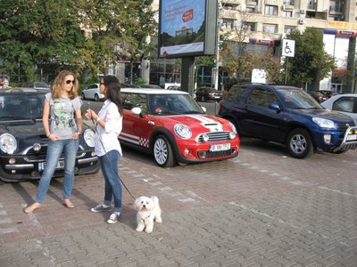 IMG_4662.jpg