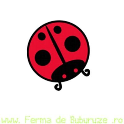 buburuza.jpg