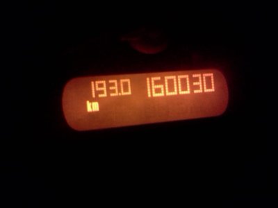 IMG1336.jpg