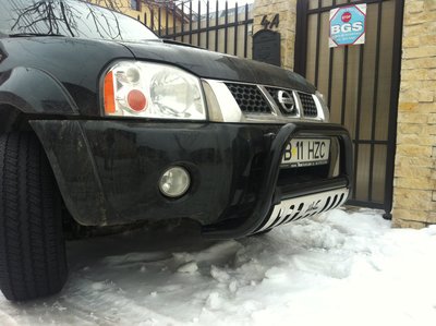 bullbar.JPG