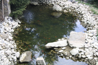 IMG_0811.jpg