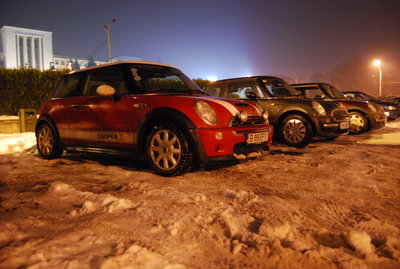DSC_9550.jpg