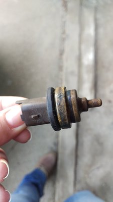IMAG0772.jpg