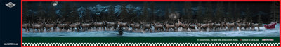 minijcwreindeer.jpg