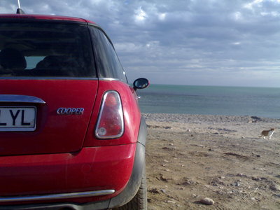 261220091363.jpg
