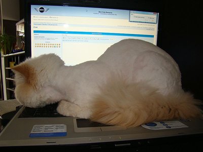 se uita pe forum :D