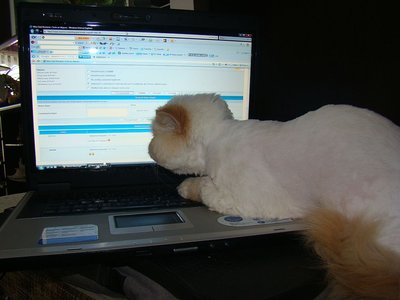 La calculator....