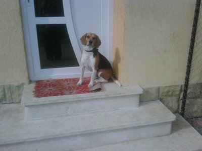 IMG00031.jpg