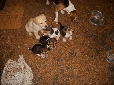 DSCN6390.jpg