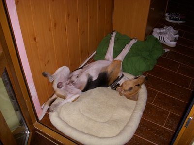 DSCN5696.JPG