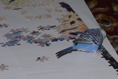 coco_puzzle.jpg