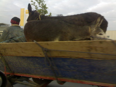 27102009144.jpg