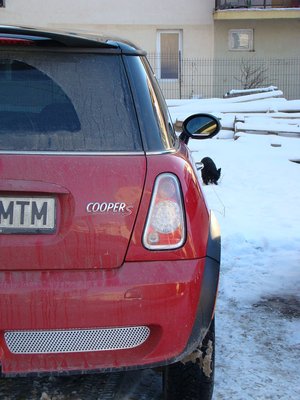 stopuri cu leduri ;)