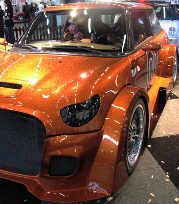 Mini_by_xMandy92x.jpg