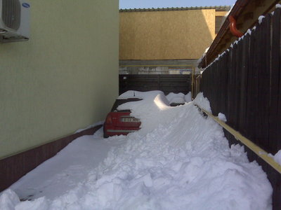 IMG00443.jpg