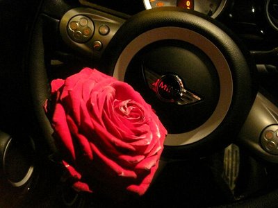 IMG_1508.jpg