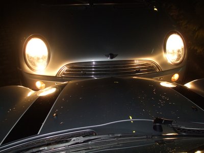 DSCF5149.jpg