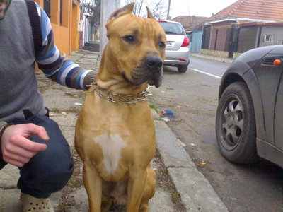 01032010180.jpg
