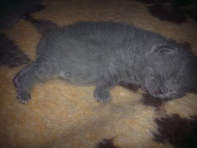 26022010131.jpg