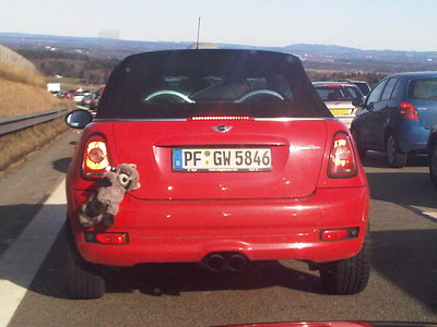 IMG00010-20100227-1442.jpg