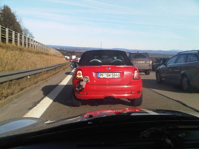 IMG00009-20100227-1441.jpg