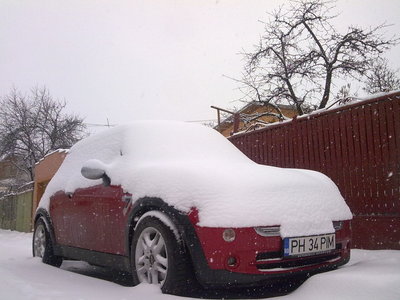 11032010959.jpg