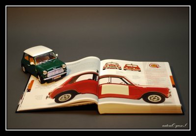 Mini on a book
