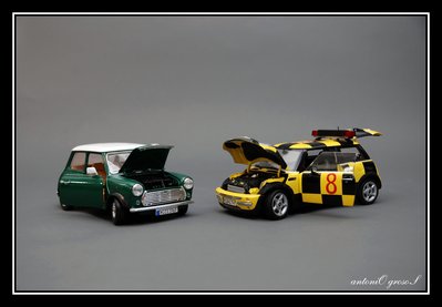 some little mini's