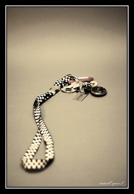 my MINI key Lanyard
