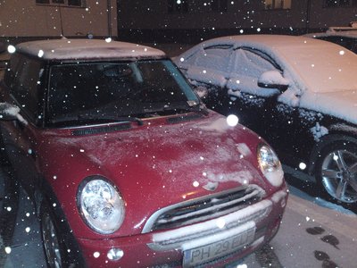 04032010194jpg.jpg