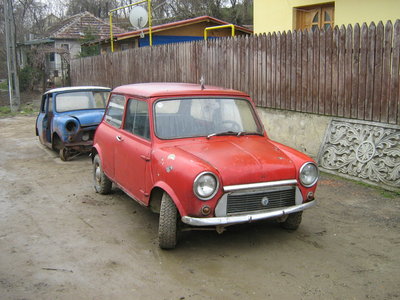 mini 022.jpg