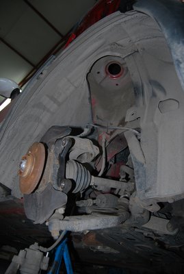 DSC_0403.jpg