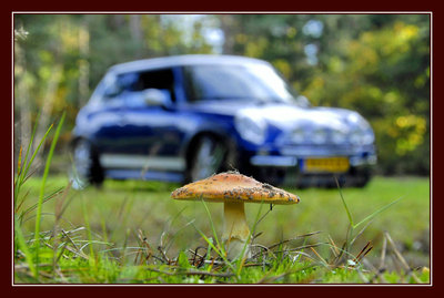_DSC9635_cak.jpg
