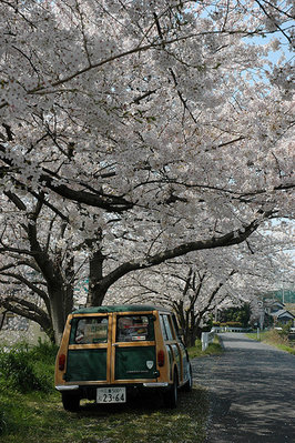 spring3.jpg