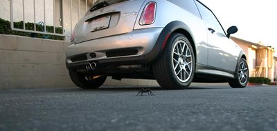 tt01.jpg
