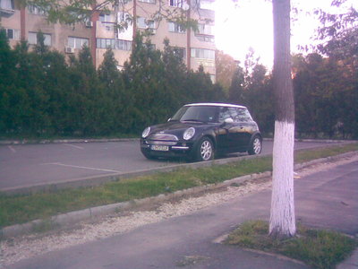 01052010.jpg