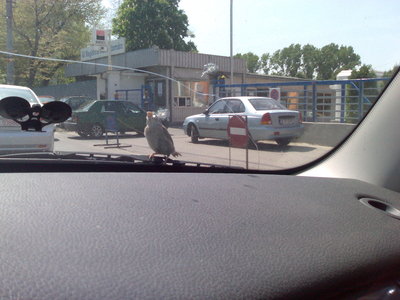 05052010478.jpg