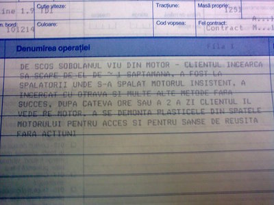 actiune-service.jpg