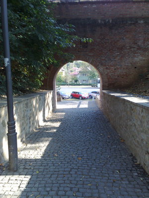 240920091542.jpg