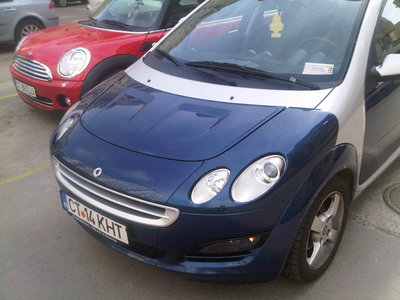 IMG00152-20100513-1623.jpg