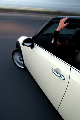mini (5).jpg